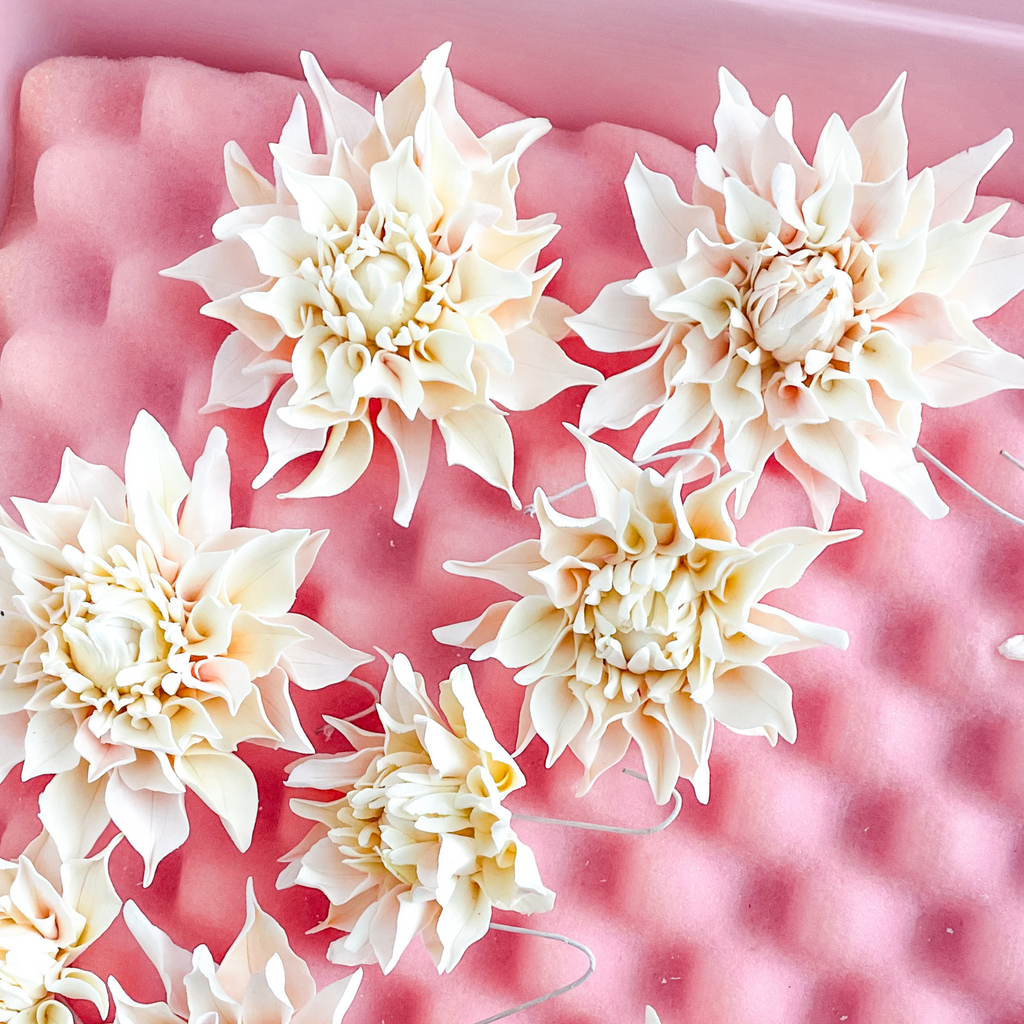 Soft Blush Pink Large Dahlia