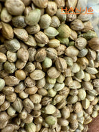 Ripkitty International & Domestic Raw Viable Hemp Seeds for Poultry, Equine Feeding, & Livestock