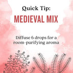 Aura Cacia Essential Solutions Medieval Mix, 0.5 oz