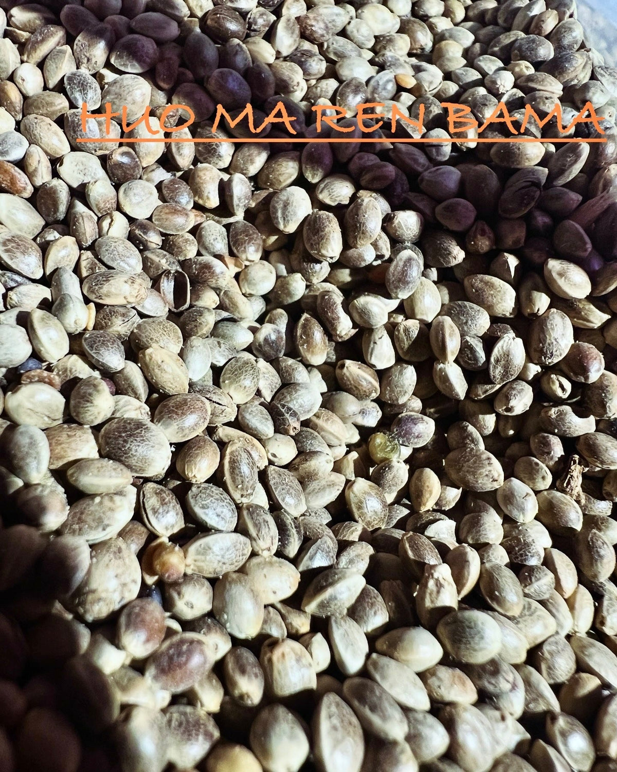 Ripkitty International & Domestic Raw Viable Hemp Seeds for Poultry, Equine Feeding, & Livestock