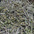 1 3/8-inch Nails for Frames