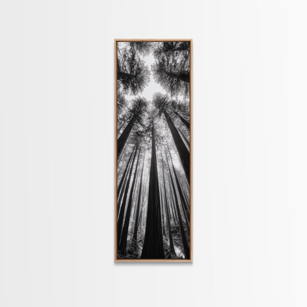Redwood Forest, Sunlight Trees, Nature Canopy, Canvas Print, Serene Woodland Art, Cabin Wall Decor, Black and White Forest Art, Bedroom Wall Art