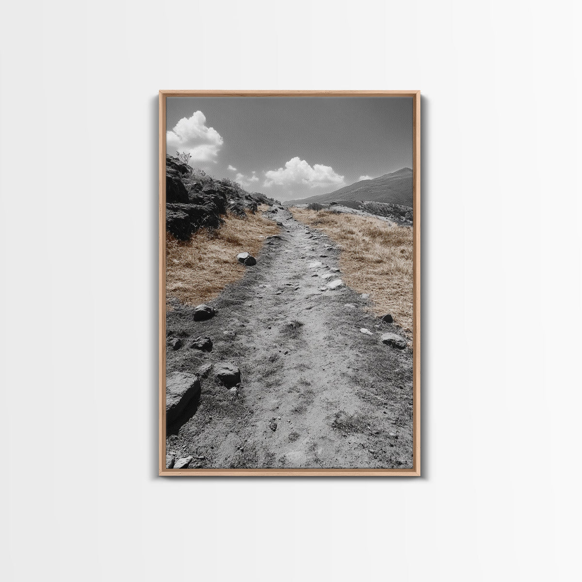 Desert Path, Solitude Trail, Nature Adventure, Canvas Print, Minimalist Landscape Wall Art, Entryway Rustic Decor, Fall Color Tones