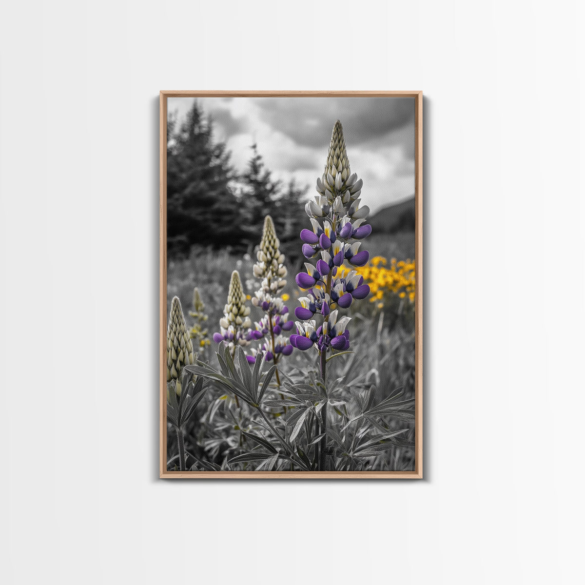 Purple Lupine Flowers, Wildflower Meadow Art, Country Botanical Print, Spring Nature Scene, Framed Canvas Print, Cottagecore Wall Art