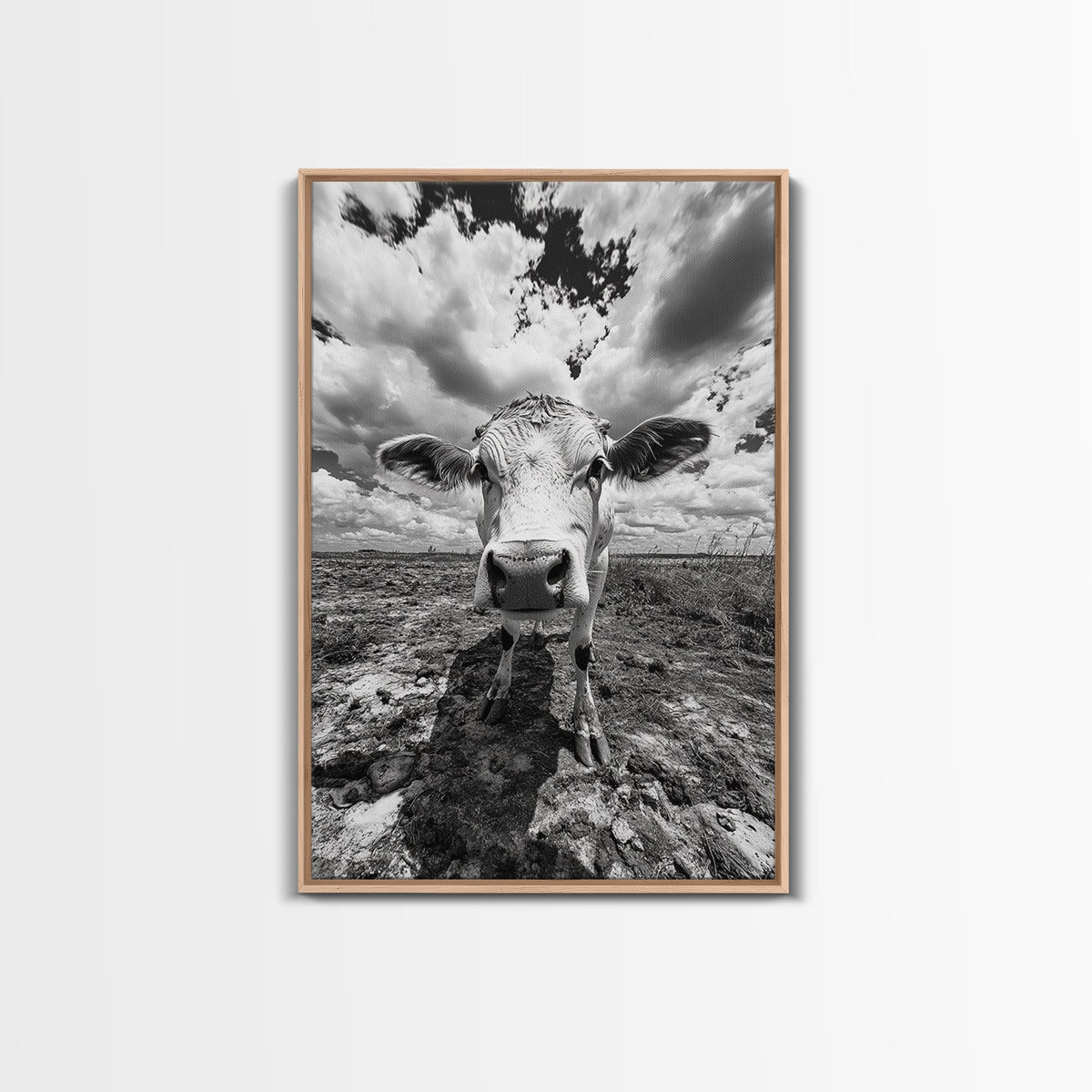 Rustic decor, vintage cow photography, framed canvas print, farmhouse art, black and white wall art, country aesthetic, moody art, southwest wall art