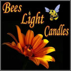 100 Pack of Clear Tealight Candle Boxes - Holds 6 Candles Per Box