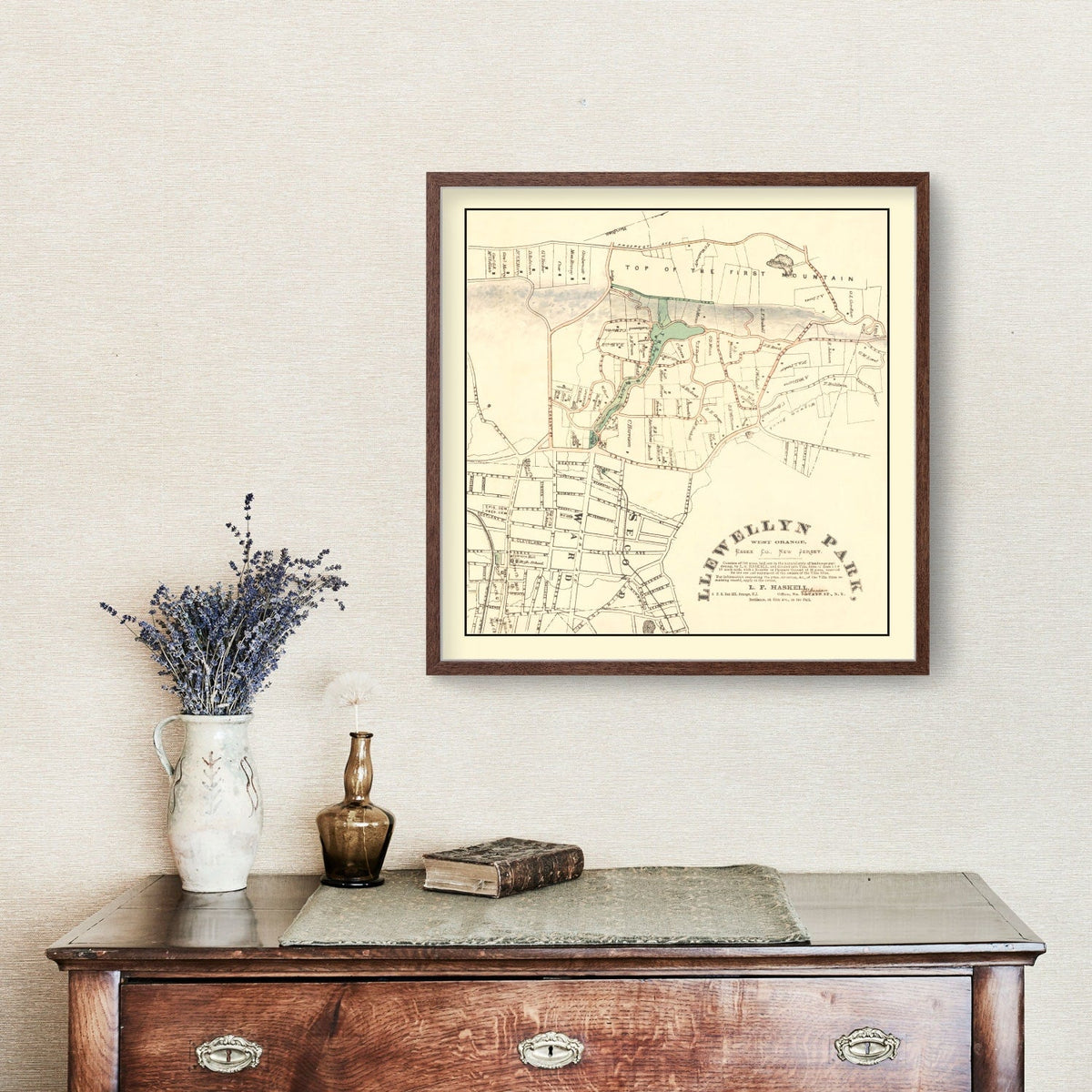 Vintage Llewellyn Park West Orange NJ Map 1870
