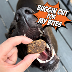 Gut Healthy Dog Treat Variety Bundle