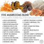 Five Mushrooms ***ALCOHOL FREE TINCTURE***