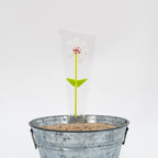 Glass Flower Splinter Art | Springfield Artworks