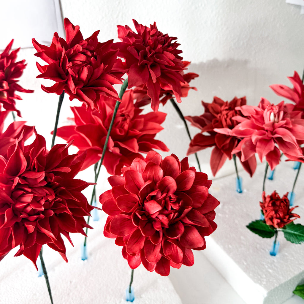 Large Red Dahlia