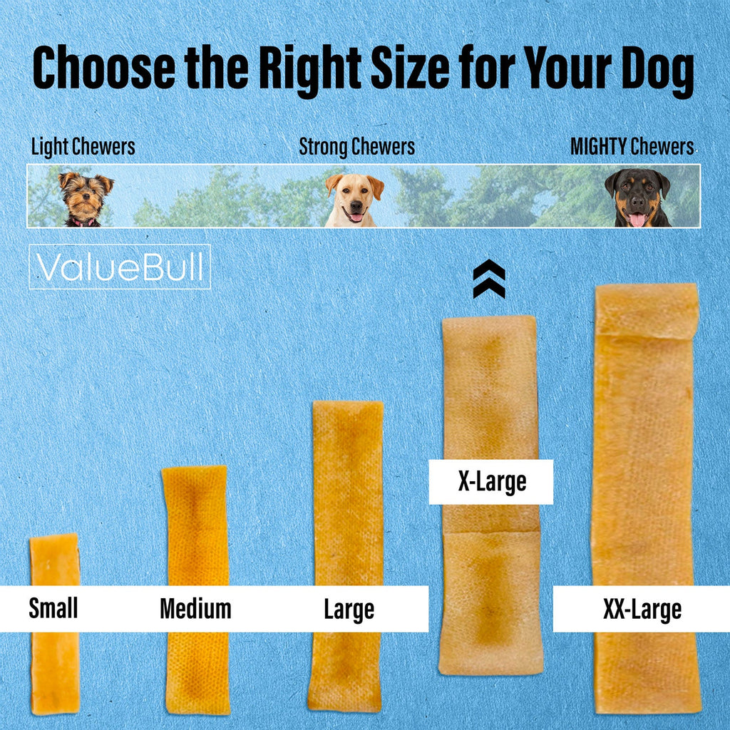 ValueBull Himalayan Yak Cheese Dog Chews, Extra Large, 10 Count