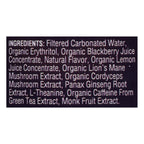 Odyssey Sparkling Energy Blackberry Lemon - 12-Pack (12 Fl Oz. Each)
