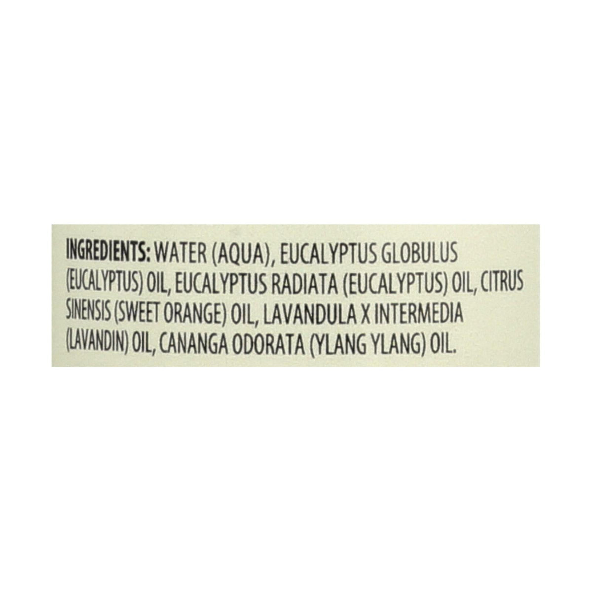 Aura Cacia Aromatherapy Mist, Eucalyptus Harvest, 4 fl oz (Case of 3)