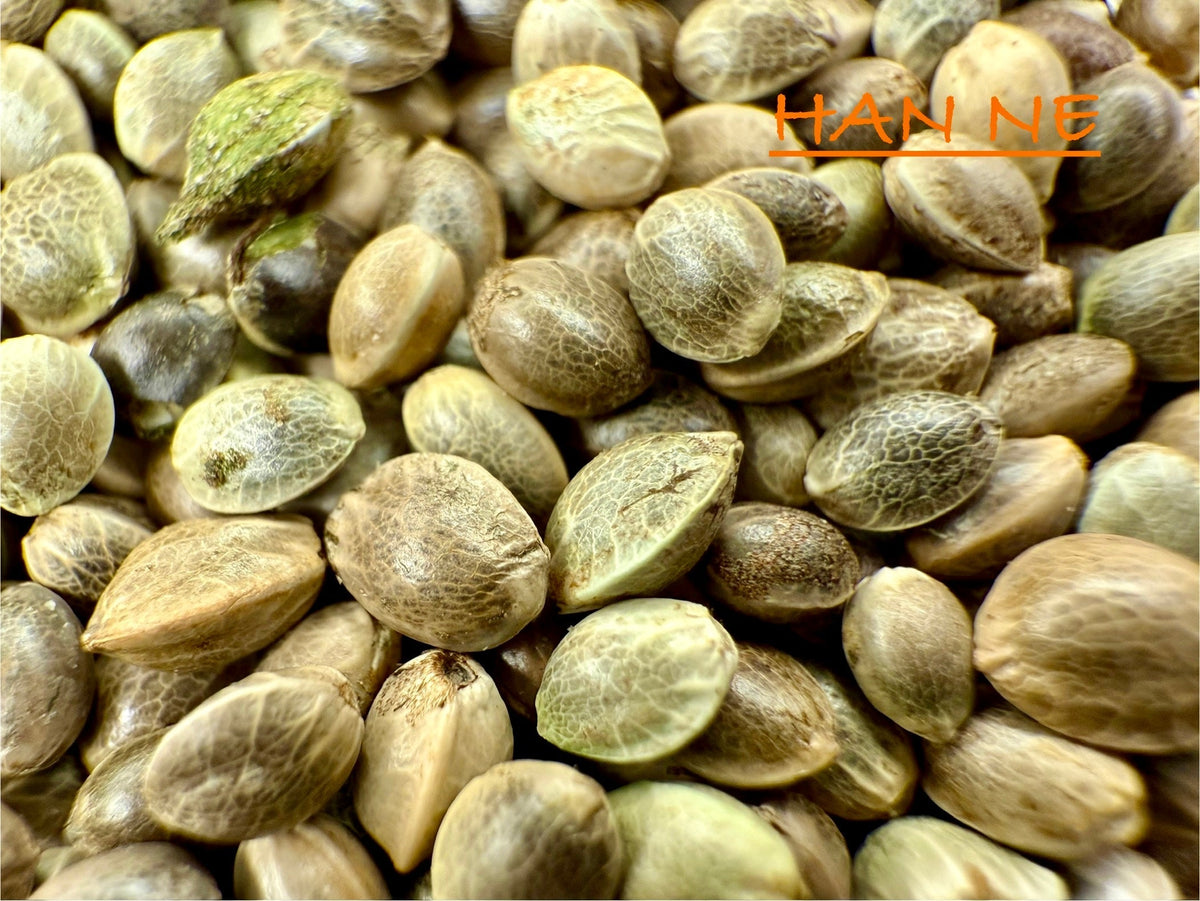 Ripkitty International & Domestic Raw Viable Hemp Seeds for Poultry, Equine Feeding, & Livestock
