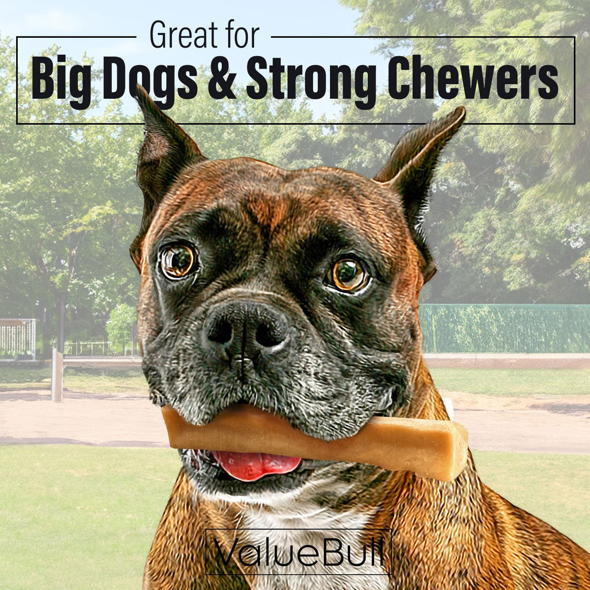 ValueBull Himalayan Yak Cheese Dog Chews, Large, 4 Pound