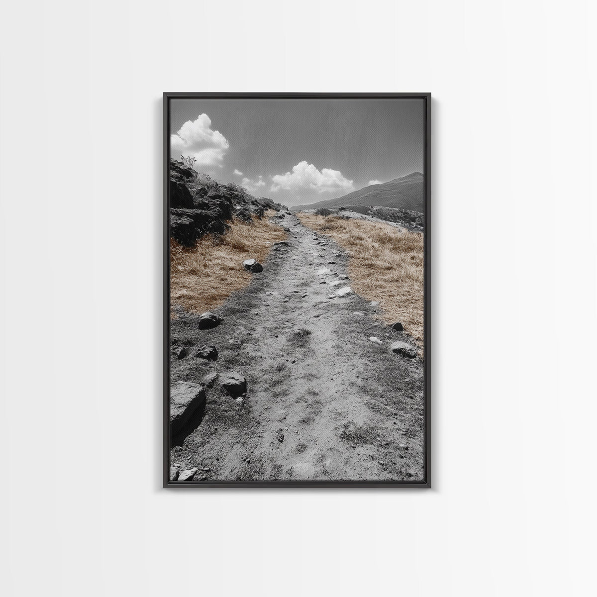 Desert Path, Solitude Trail, Nature Adventure, Canvas Print, Minimalist Landscape Wall Art, Entryway Rustic Decor, Fall Color Tones