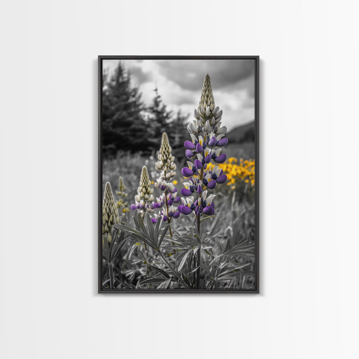 Purple Lupine Flowers, Wildflower Meadow Art, Country Botanical Print, Spring Nature Scene, Framed Canvas Print, Cottagecore Wall Art