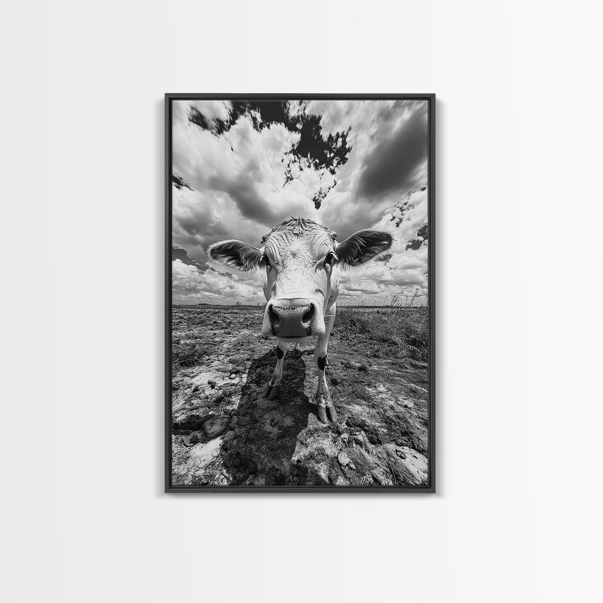 Rustic decor, vintage cow photography, framed canvas print, farmhouse art, black and white wall art, country aesthetic, moody art, southwest wall art