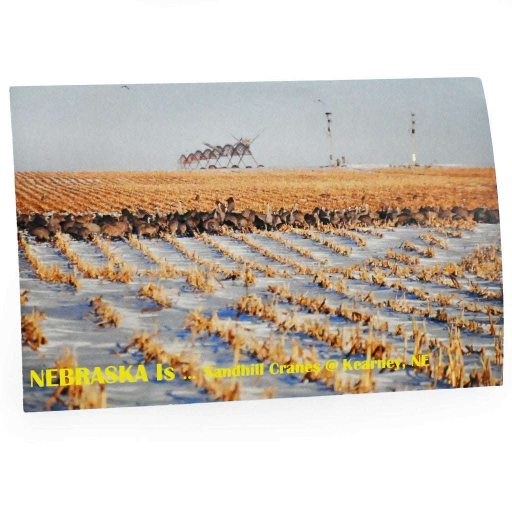 Sandhill Cranes Postcard | Nebraska Is ... Sandhill Cranes | 2 The Ends of the Earth