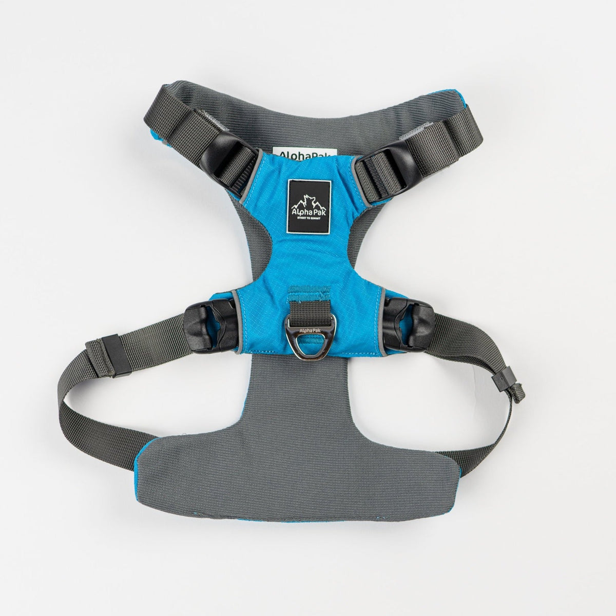 Everyday Adventure Dog Harness