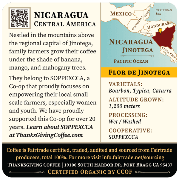 Nicaragua - Flor de Jinotega