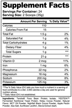 Chocolate Plant-Based Protein Powder