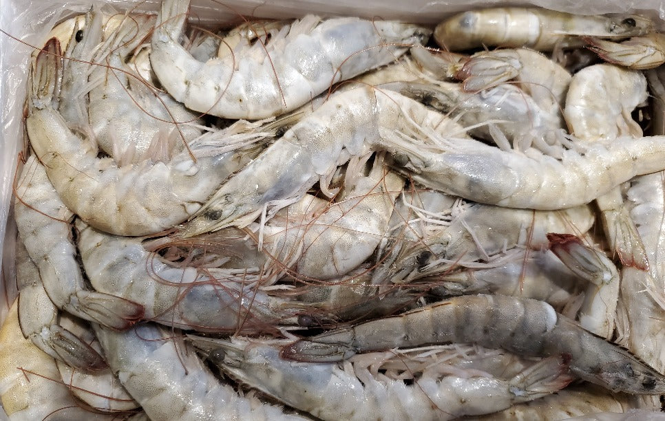 Cooked Crab & Shrimp Seafood Platter — 24 Blue Crabs + 2 lbs Jumbo Shrimp