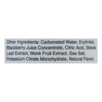 Tru Blend Ready-to-Drink Rescue Detox Blend, Blackberry, 12 fl oz (Case of 12)