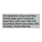 Tru Blend Ready-to-Drink Focus Brain Blend, Apple Kiwi, 12 fl oz (Case of 12)