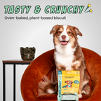 Veggie Dailies with Spirulina, 4-Pack