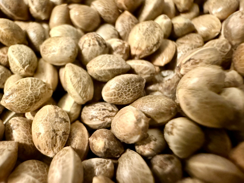 Ripkitty Premium Raw Viable Sprouts Organic Whole Hemp Seeds