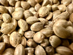 Ripkitty Premium Raw Viable Sprouts Organic Whole Hemp Seeds
