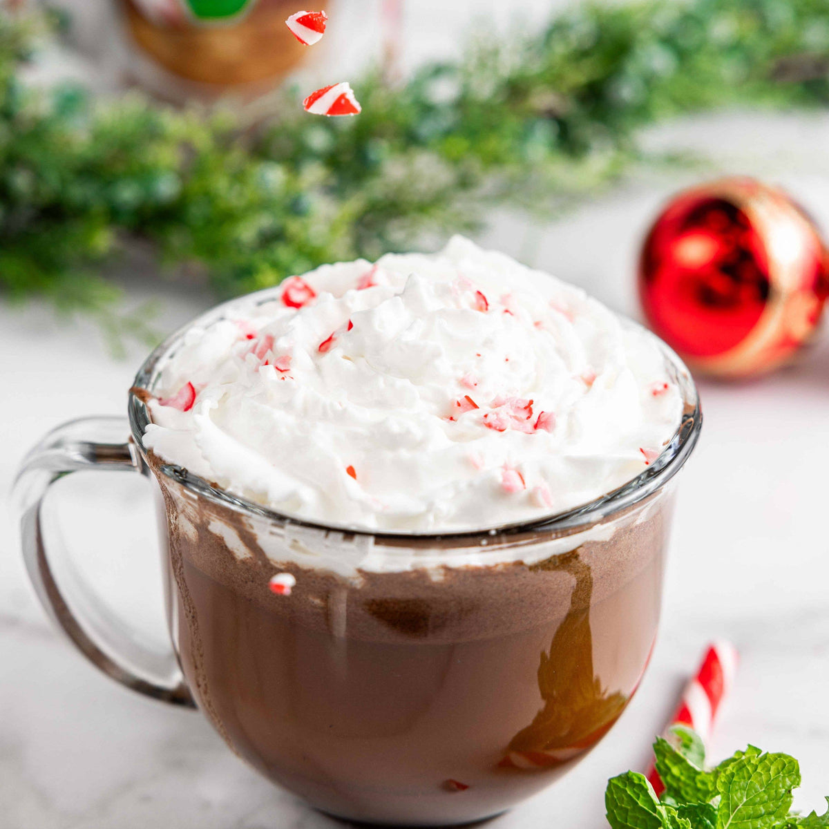 Dairy Free & Vegan Peppermint Hot Cocoa Mix 0.95 Oz (10 Ct.)