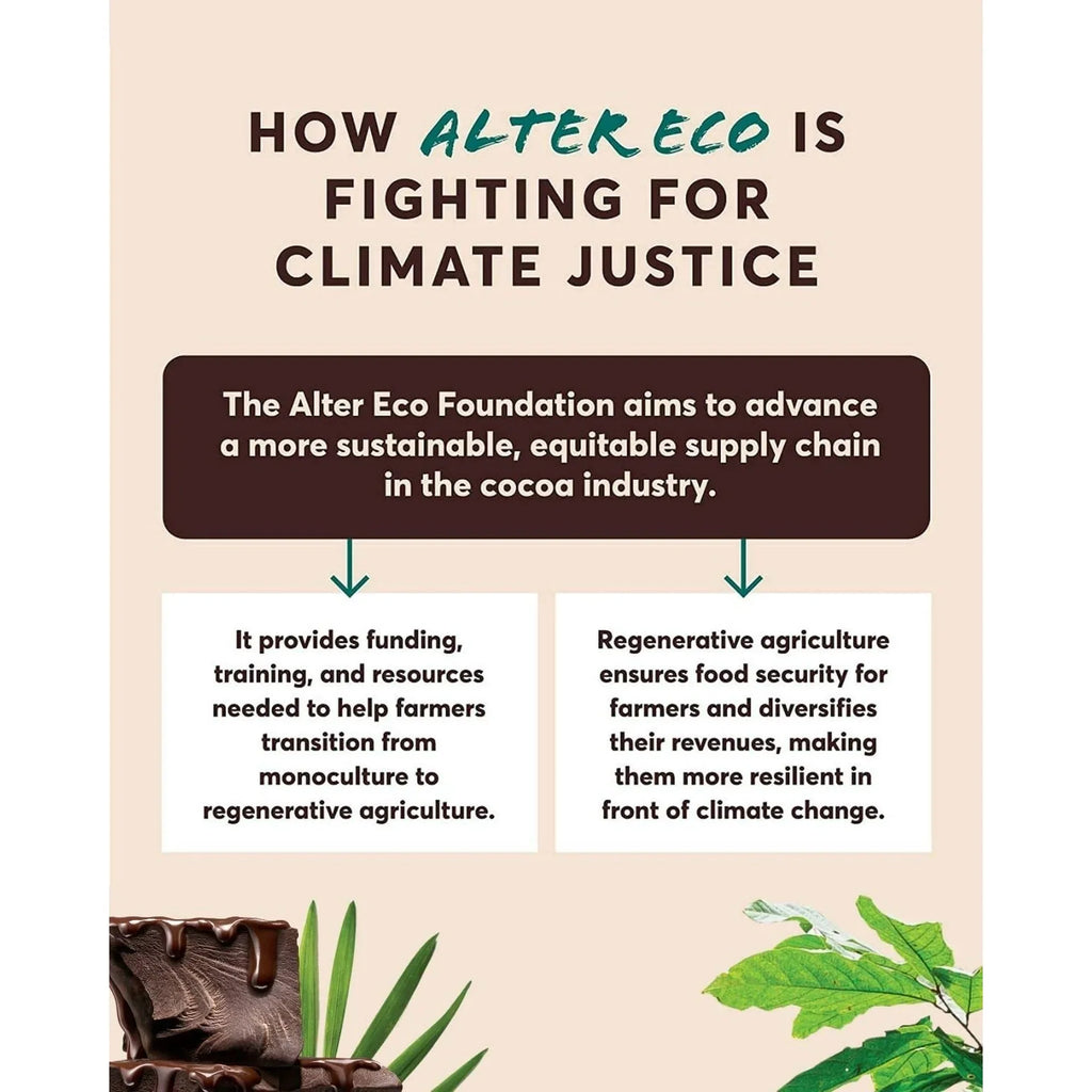 Alter Eco Organic Blackout 100% Dark Chocolate – Fair Trade Swiss Cacao, Case of 12-2.65 Oz
