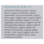 Hiyo Organic Watermelon Lime Seltzer, 12 fl oz (Case of 12)