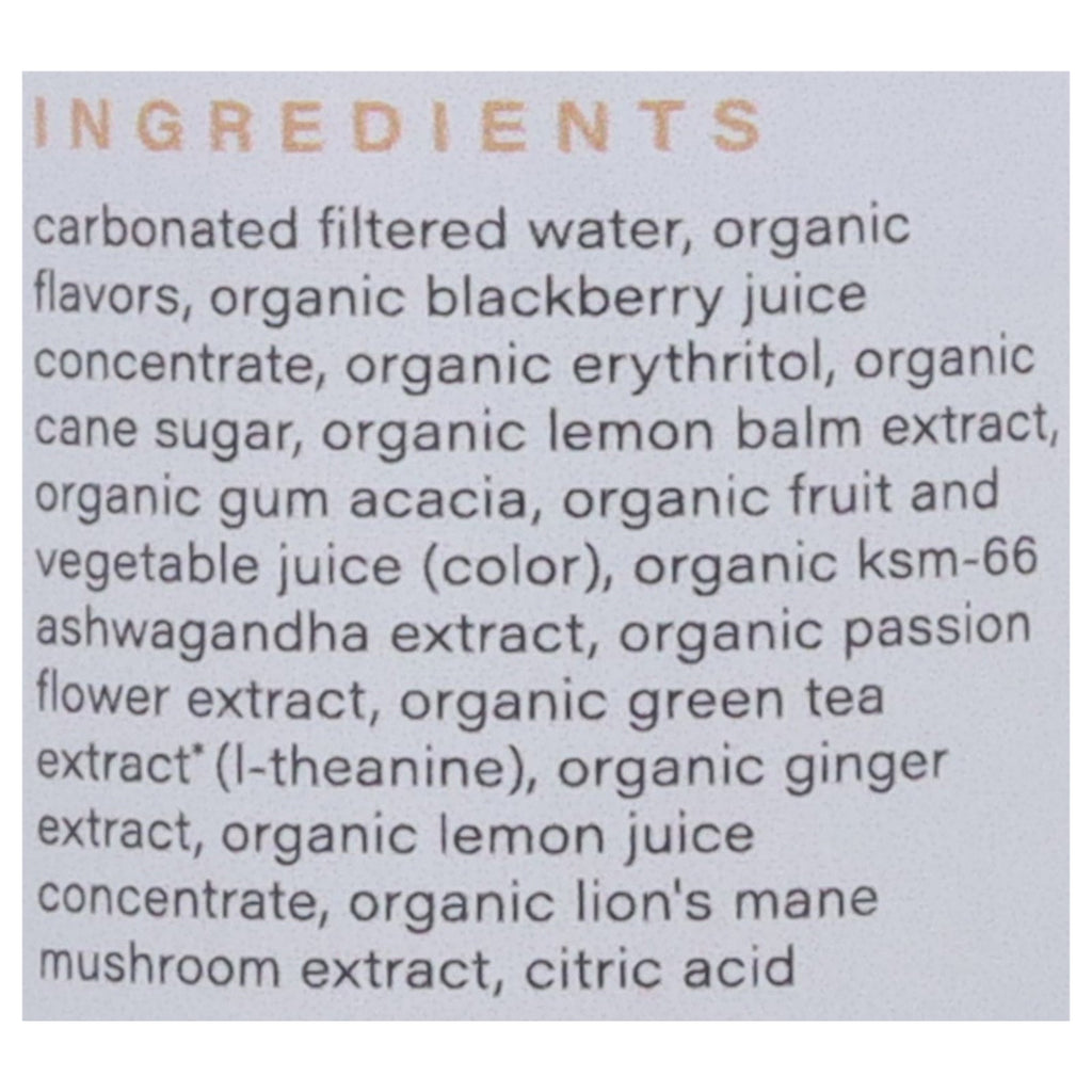 Hiyo Organic Blackberry Lemon Seltzer, 12 fl oz (Case of 12)