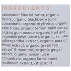 Hiyo Organic Blackberry Lemon Seltzer, 12 fl oz (Case of 12)
