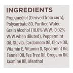 GuruNanda Concentrated Wild Mint Mouthwash, 2 oz