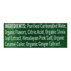 Nixie Organic Sugar-Free Ginger Ale Soda, 12 fl oz (Case of 12)