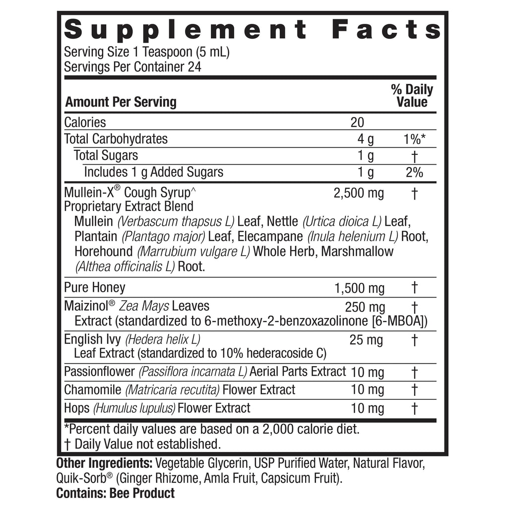 Nature's Answer Mullein-X PM Nighttime Cough Syrup, 4 fl oz