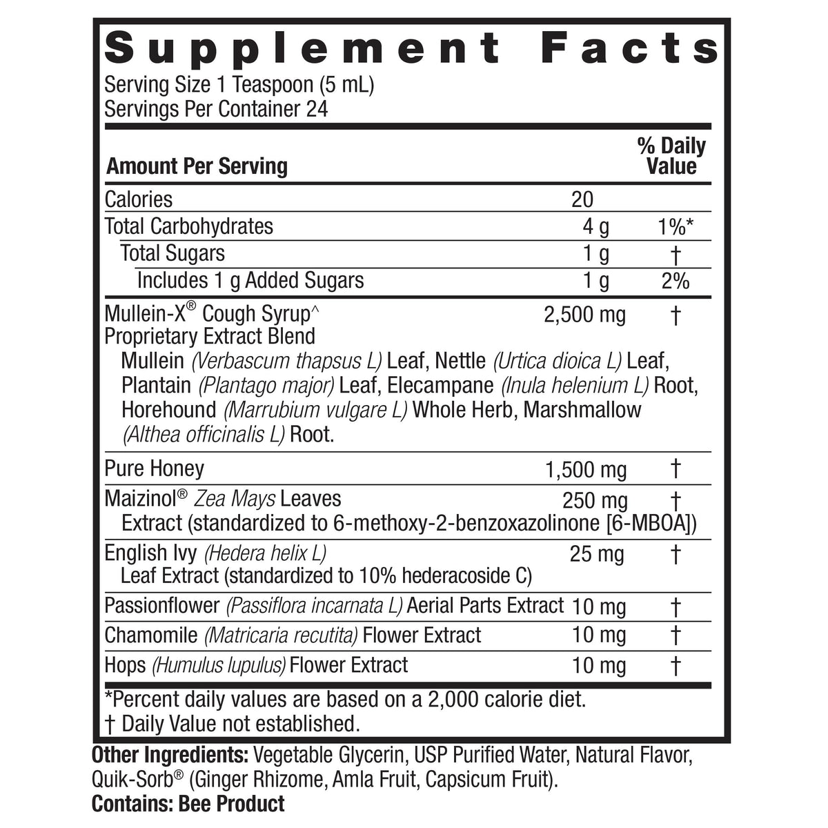 Nature's Answer Mullein-X PM Nighttime Cough Syrup, 4 fl oz