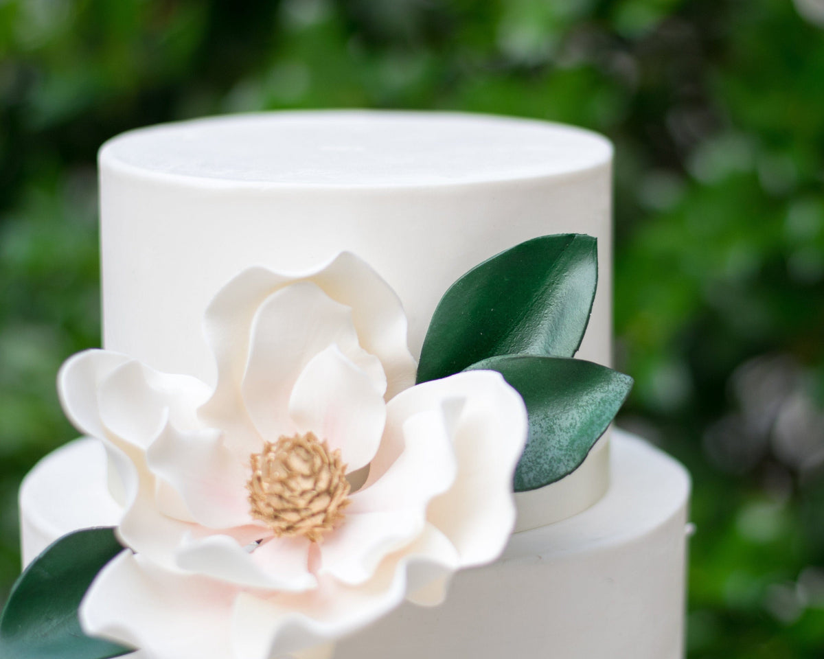 Magnolia Leaves - Set of 3 Gumpaste Leaves