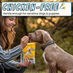 Silver Carp & Sweet Potato Training Bites, 4-Pack