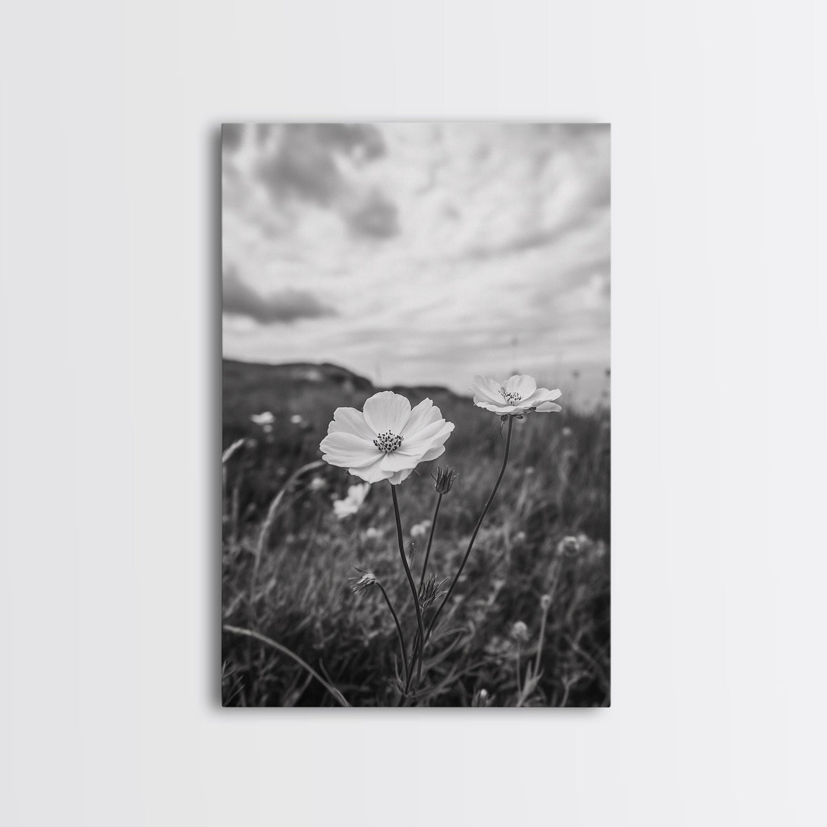 Wildflower Pair, Meadow Romance, Country Floral, Nature Canvas Print, Living Room Wall Art, Cottagecore Vibes, Farmhouse Botanical Print