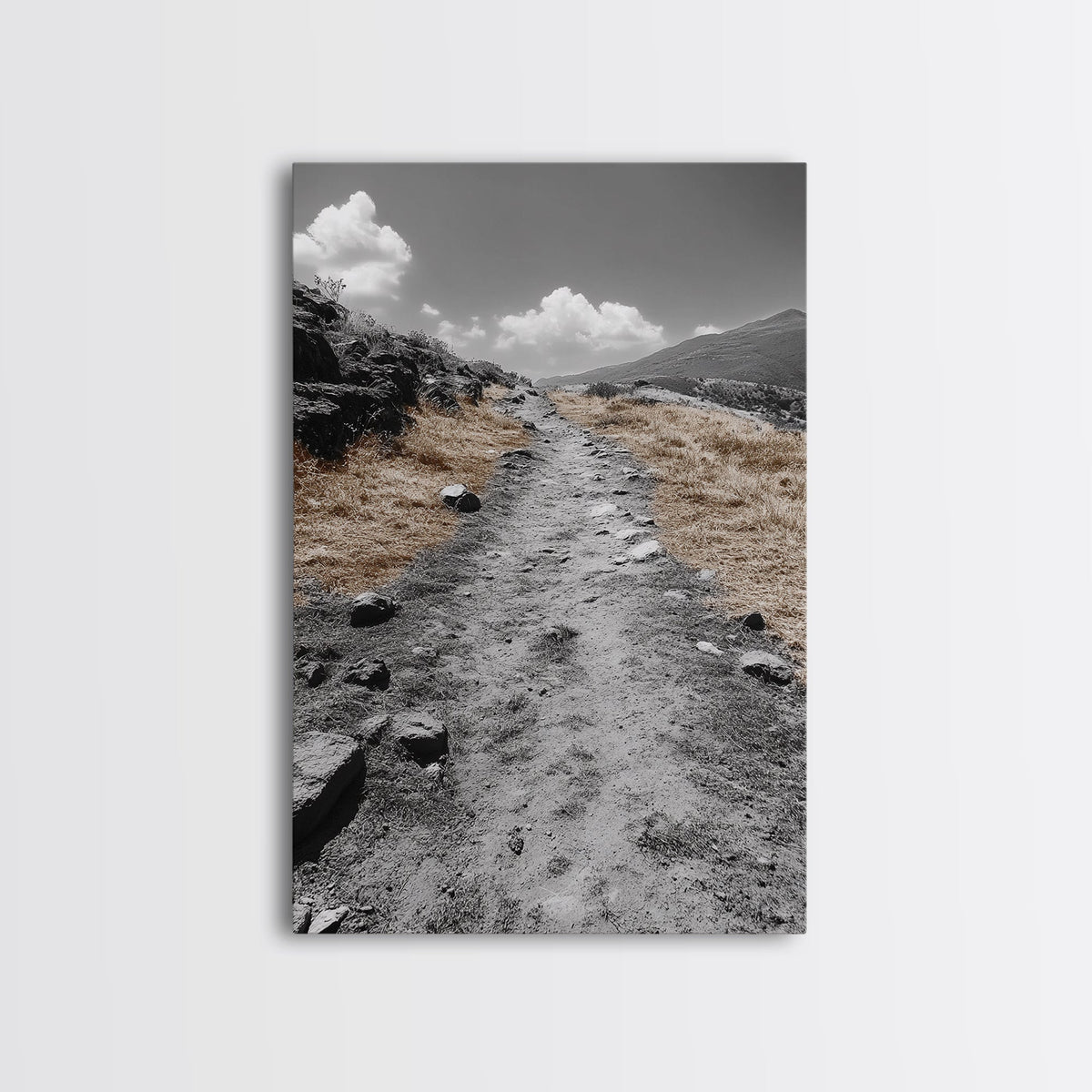 Desert Path, Solitude Trail, Nature Adventure, Canvas Print, Minimalist Landscape Wall Art, Entryway Rustic Decor, Fall Color Tones