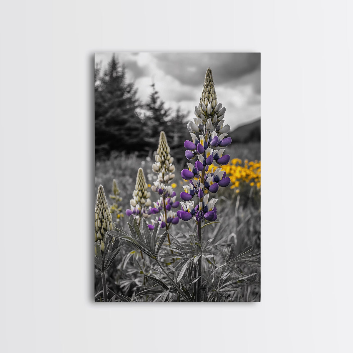 Purple Lupine Flowers, Wildflower Meadow Art, Country Botanical Print, Spring Nature Scene, Framed Canvas Print, Cottagecore Wall Art