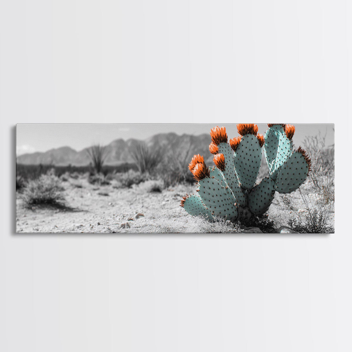 Cactus Garden, Desert Life, Orange Bloom, Nature Vibes, Framed Canvas Print, Rustic Wall Art, Boho Decor, Office Botanical Accent