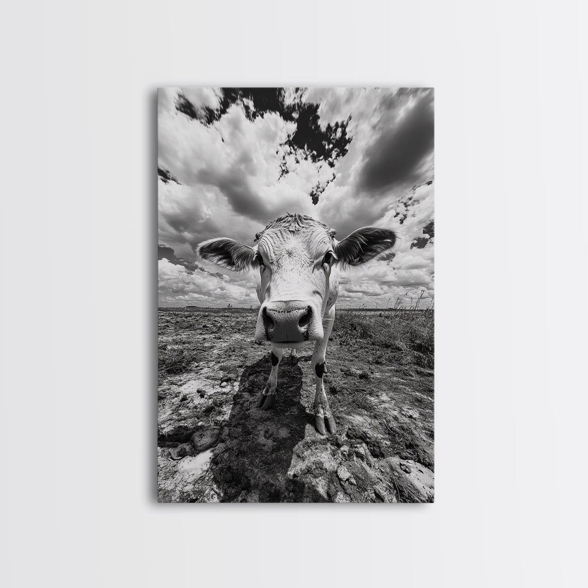Rustic decor, vintage cow photography, framed canvas print, farmhouse art, black and white wall art, country aesthetic, moody art, southwest wall art