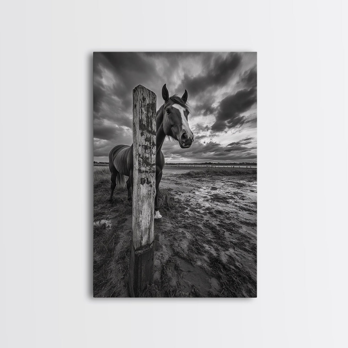 Horse wall art, vintage horse art, rustic decor, black and white photography, moody art, extra wide art, framed canvas print, farmhouse art